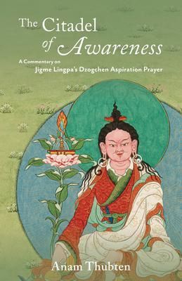 Produktbild: The Citadel of Awareness