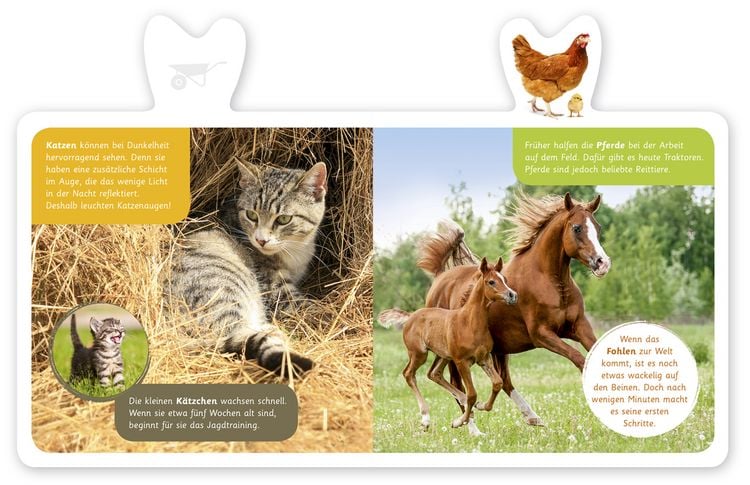 Produktbild: Bauernhof-Tiere