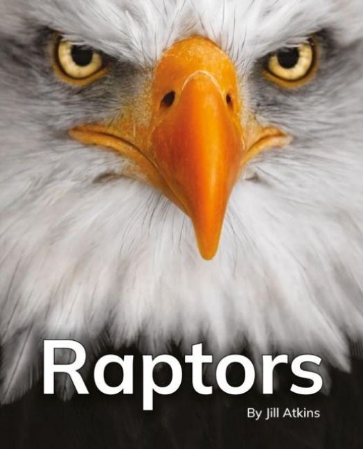 Produktbild: Raptors