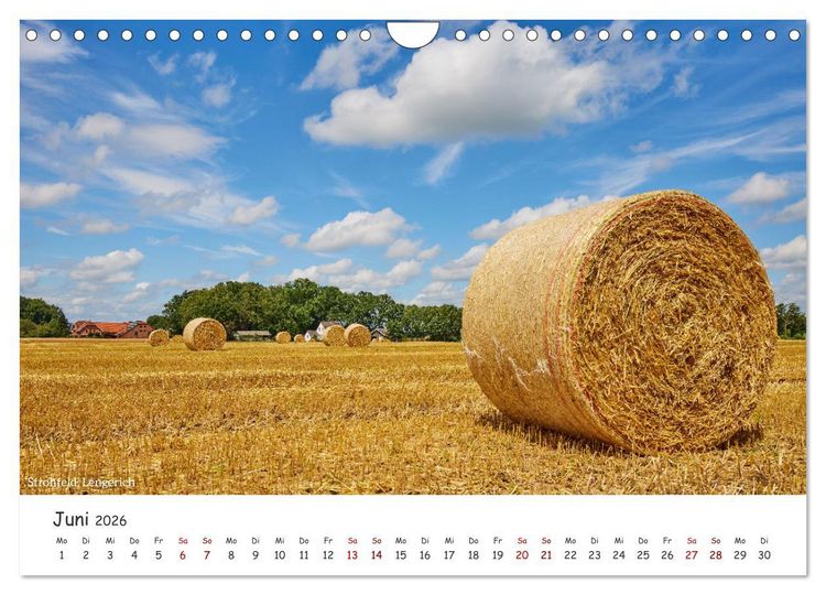 Produktbild: Emsland Impressionen (Wandkalender 2026 DIN A4 quer), CALVENDO Monatskalender