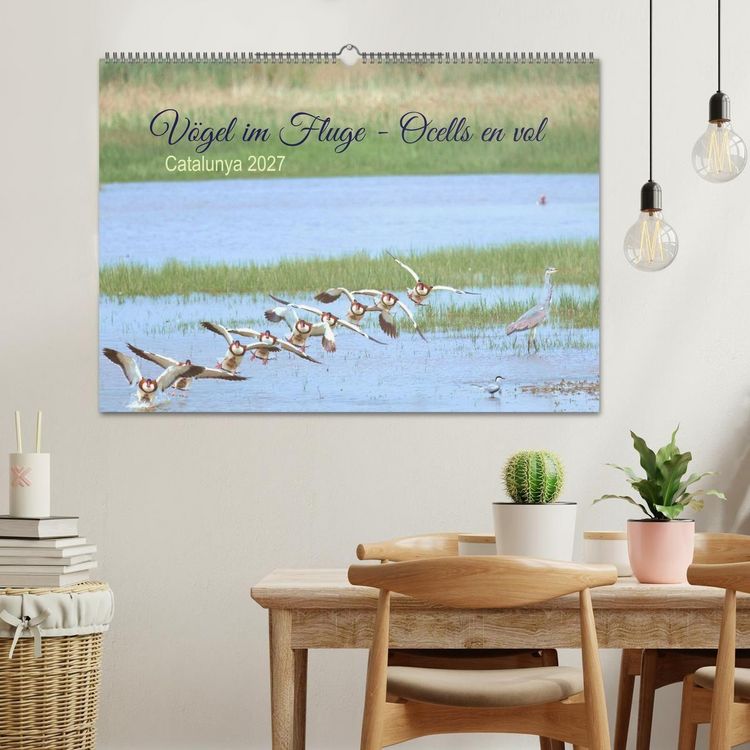 Produktbild: V&ouml;gel im Fluge - Ocells en vol (Wandkalender 2027 DIN A2 quer), CALVENDO Monatskalender