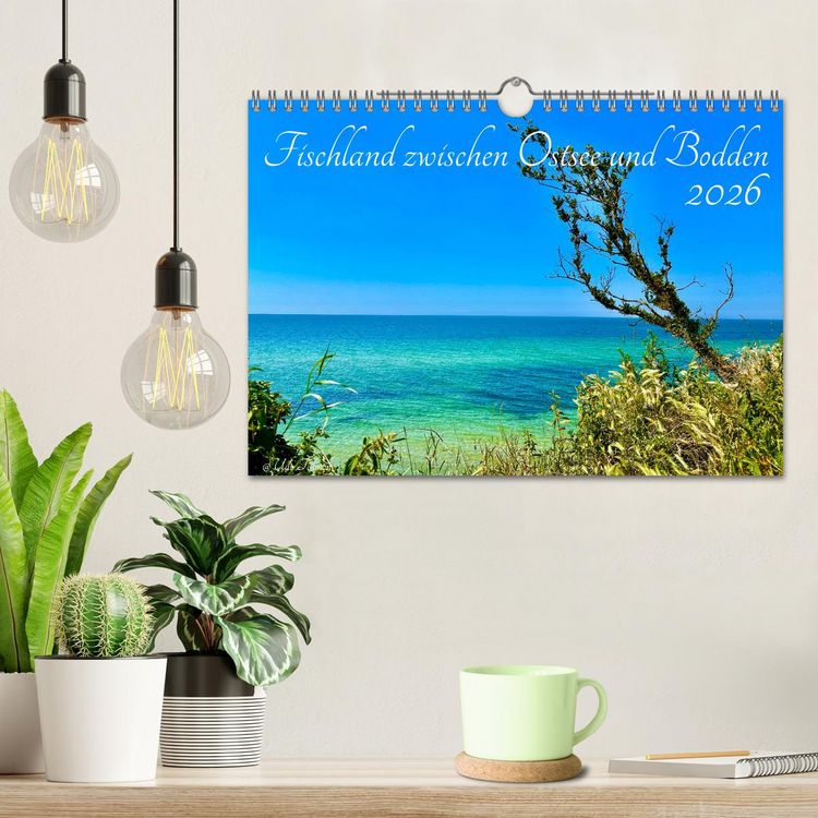 Produktbild: Fischland zwischen Ostsee und Bodden (Wandkalender 2026 DIN A4 quer), CALVENDO Monatskalender
