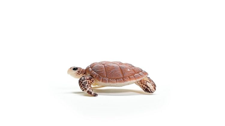 Produktbild: schleich&reg; 14876 Echte Karettschildkr&ouml;te