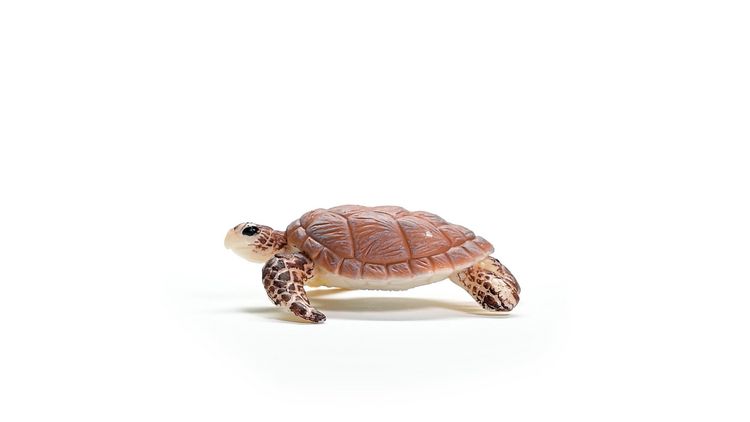 Produktbild: schleich&reg; 14876 - Wild Life, Echte Karettschildkr&ouml;te, L&auml;nge: 6,5 cm
