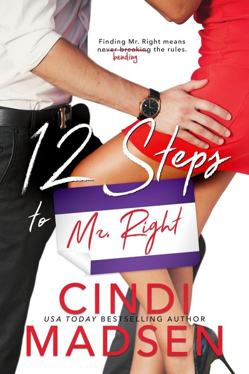 Produktbild: 12 Steps to Mr. Right