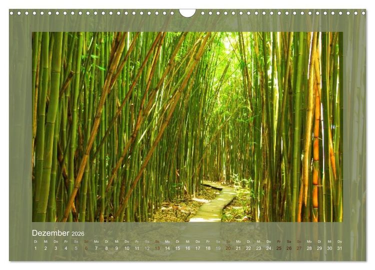 Produktbild: Bambus (Wandkalender 2026 DIN A3 quer), CALVENDO Monatskalender