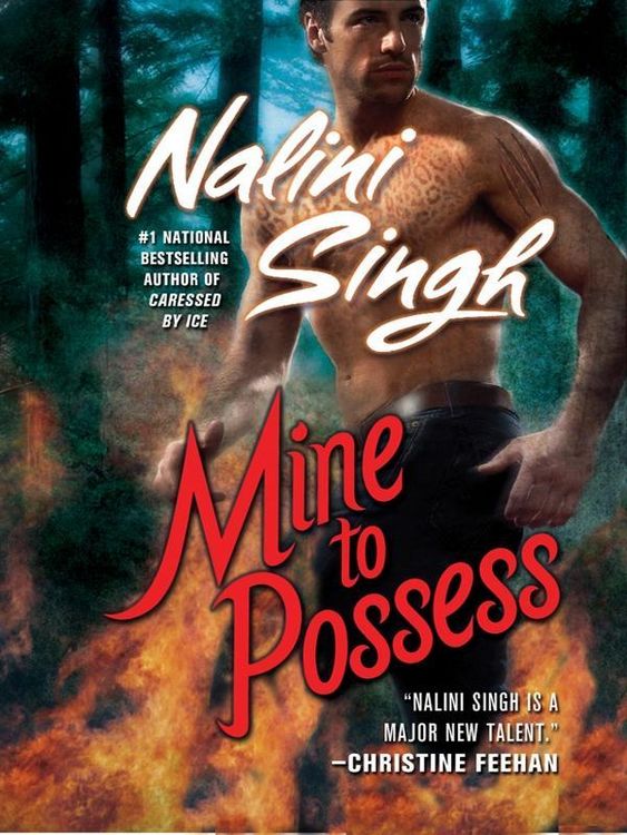 Produktbild: Mine to Possess