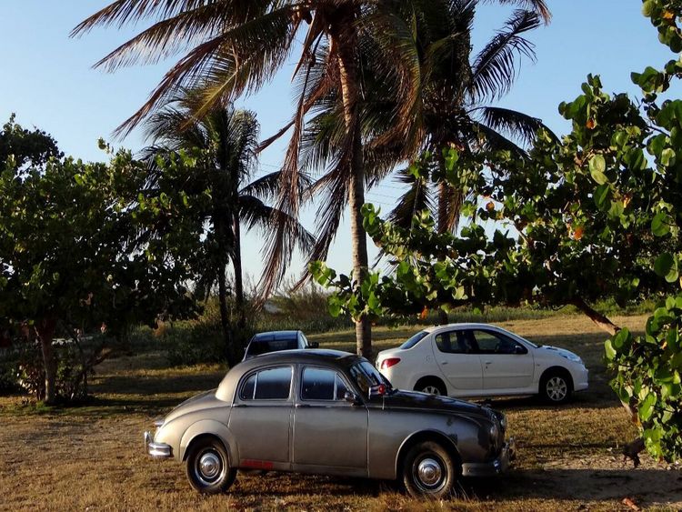 Produktbild: CALVENDO Puzzle Der britische Oldtimer Jaguar Mark2 auf Kuba | 1000 Teile Lege-Gr&ouml;&szlig;e 64x48cm Foto-Puzzle f&uuml;r gl&uuml;ckliche Stunden
