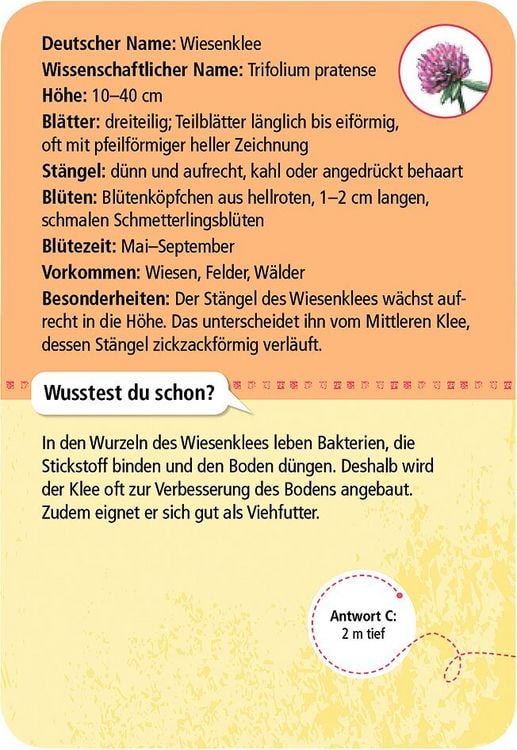 Produktbild: Expedition Natur - 50 heimische Blumen