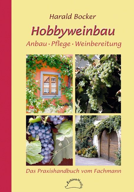 Produktbild: Hobbyweinbau. Anbau &ndash; Pflege &ndash; Weinbereitung