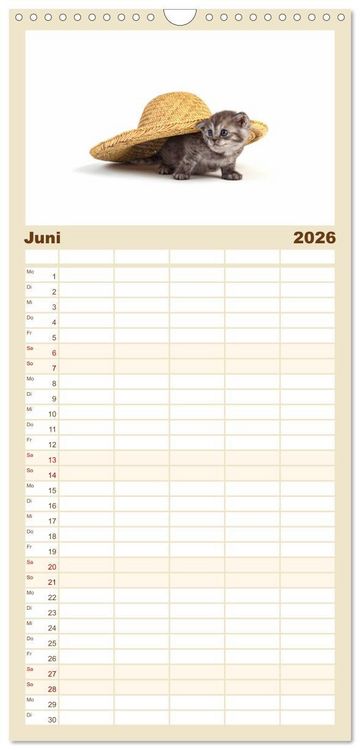 Produktbild: Familienplaner 2026 - Katzenbabys mit 5 Spalten (Wandkalender, 21 x 45 cm) CALVENDO