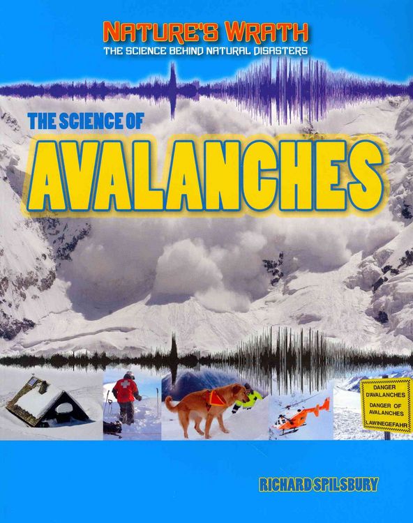 Produktbild: The Science of Avalanches