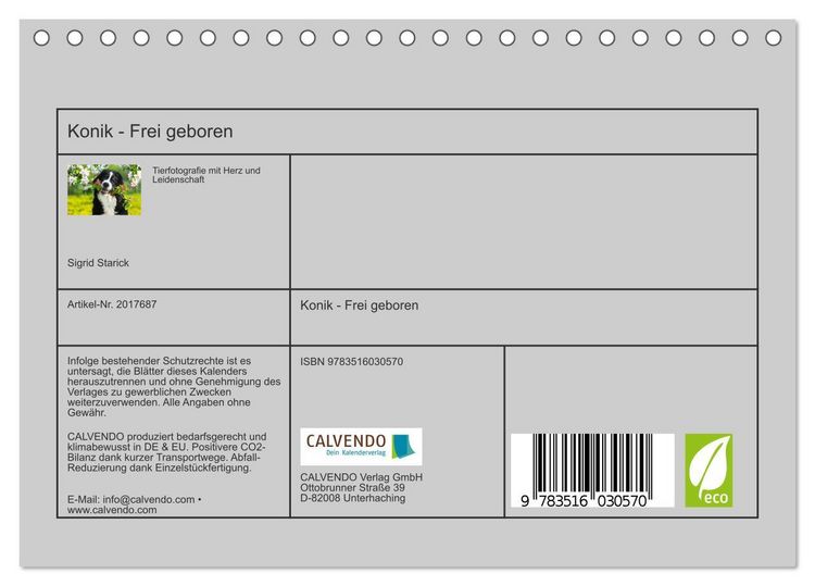 Produktbild: Konik - Frei geboren (Tischkalender 2026 DIN A5 quer), CALVENDO Monatskalender
