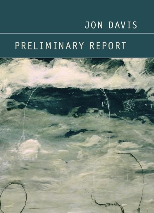 Produktbild: Preliminary Report