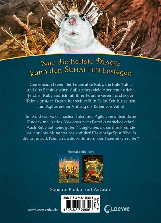 Produktbild: Der letzte Feuerfalke und das magische Ei (Band 13)
