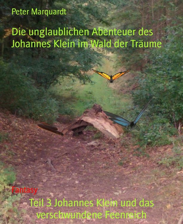 Produktbild: Teil 3 Johannes Klein und das verschwundene Feenreich