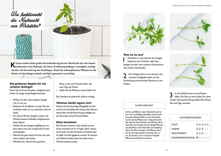 Produktbild: Regrow f&uuml;r Einsteiger
