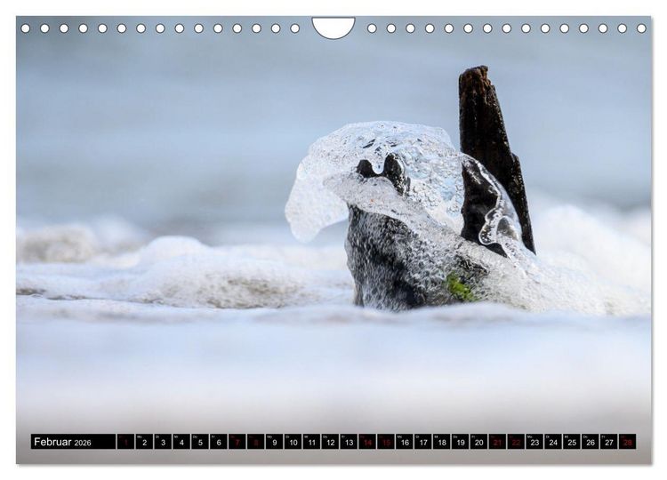 Produktbild: Strandobjekte (Wandkalender 2026 DIN A4 quer), CALVENDO Monatskalender