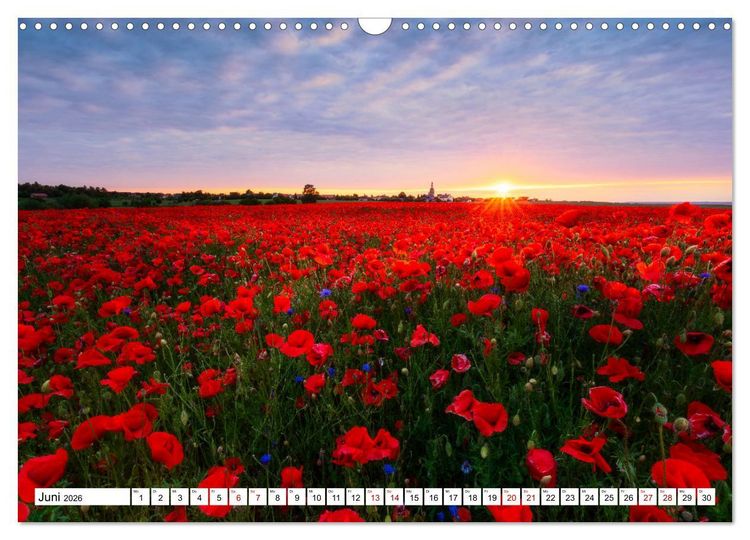 Produktbild: Sonnige Augenblicke (Wandkalender 2026 DIN A3 quer), CALVENDO Monatskalender