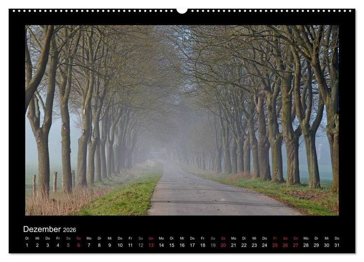Produktbild: M&auml;rchenhafter Reinhardswald und Urwald Sababurg (hochwertiger Premium Wandkalender 2026 DIN A2 quer), Kunstdruck in Hochglanz