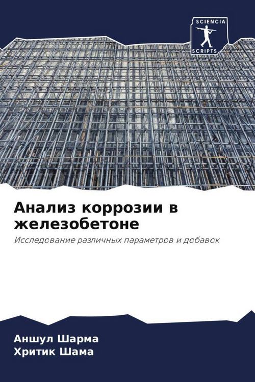 Produktbild: Analiz korrozii w zhelezobetone