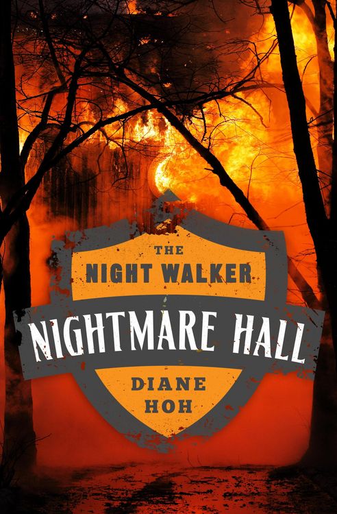 Produktbild: The Night Walker