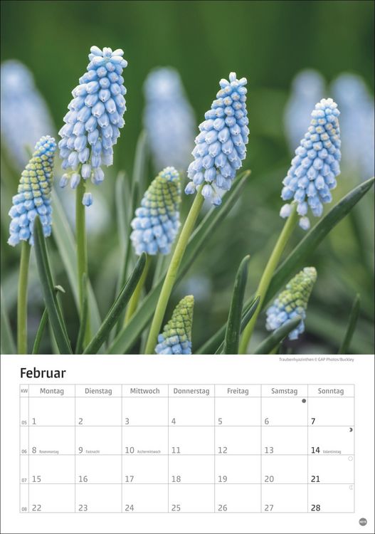 Produktbild: Gartenzauber Kalender 2027