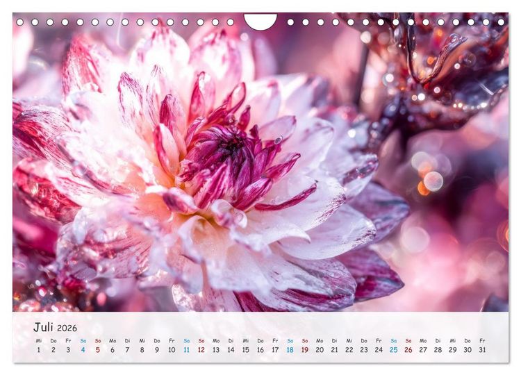 Produktbild: Florale Kompositionen (Wandkalender 2026 DIN A4 quer), CALVENDO Monatskalender