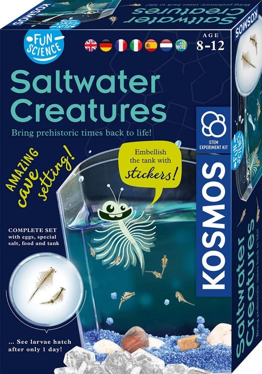 Produktbild: Fun Science Saltwater Creatures INT
