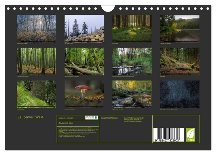 Produktbild: Zauberwelt Wald (Wandkalender 2026 DIN A4 quer), CALVENDO Monatskalender