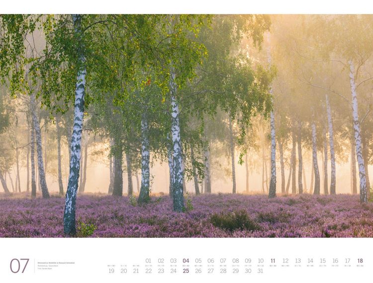 Produktbild: Wald Gallery Kalender 2027
