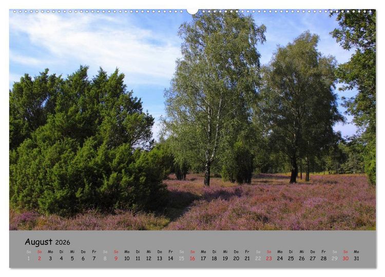 Produktbild: L&uuml;neburger Heide - sch&ouml;n zu jeder Jahreszeit (hochwertiger Premium Wandkalender 2026 DIN A2 quer), Kunstdruck in Hochglanz
