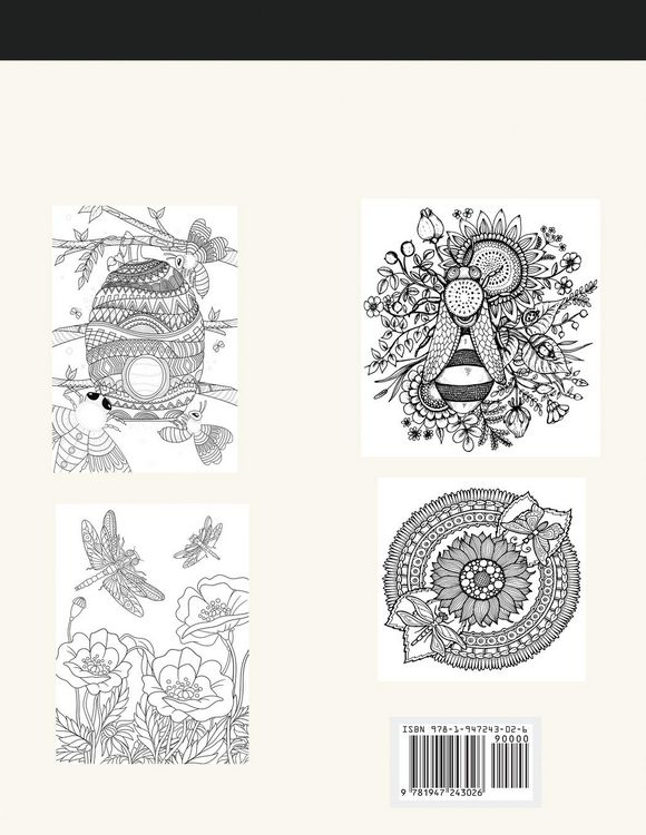 Produktbild: Insect Designs Coloring Book