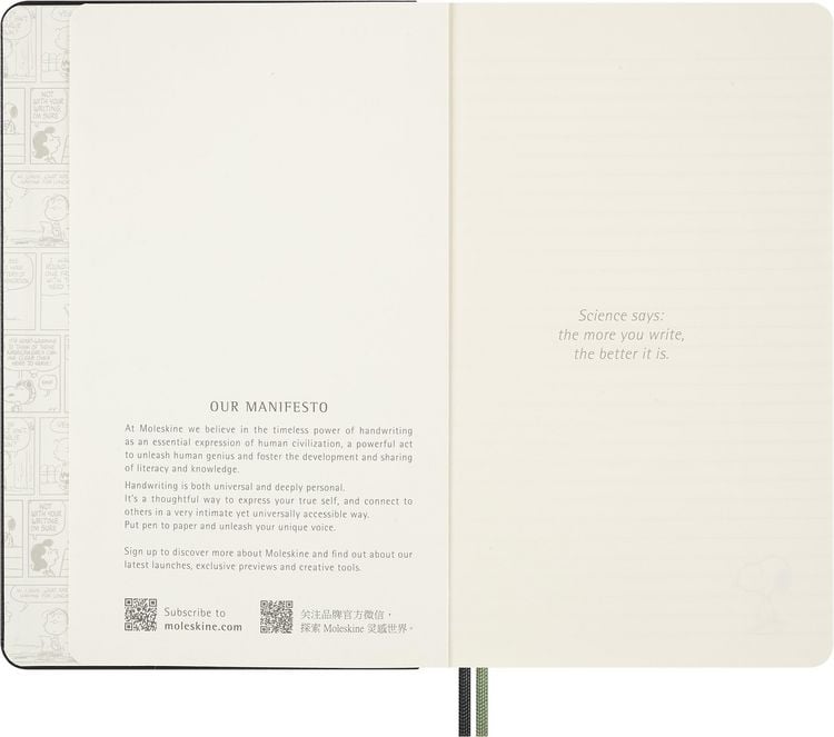 Produktbild: Moleskine Peanuts Gruppe Notizbuch limitierte Ausgabe, L/A5, liniert, fester Einband, Grau
