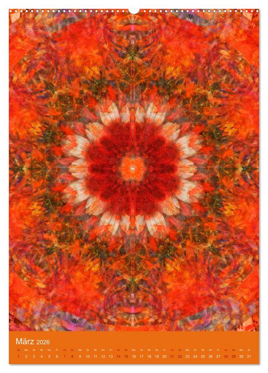 Produktbild: Meditative Pflanzenmandalas (Wandkalender 2026 DIN A2 hoch), CALVENDO Monatskalender