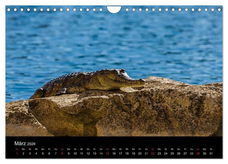 Produktbild: Australien - Kimberley (Wandkalender 2026 DIN A4 quer), CALVENDO Monatskalender