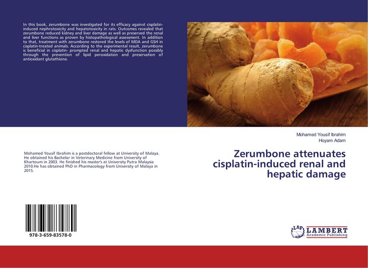 Produktbild: Zerumbone attenuates cisplatin-induced renal and hepatic damage