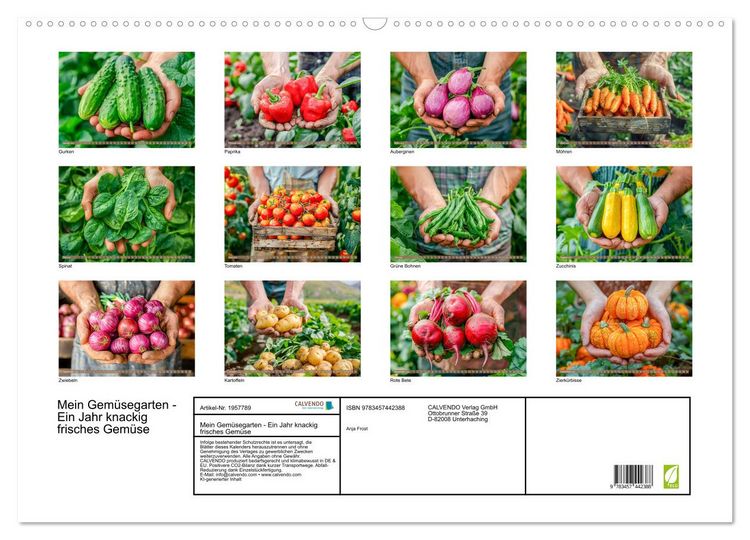 Produktbild: Mein Gem&uuml;segarten - Ein Jahr knackig frisches Gem&uuml;se (Wandkalender 2026 DIN A2 quer), CALVENDO Monatskalender