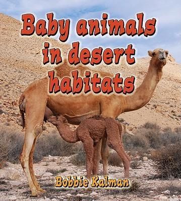 Produktbild: Baby Animals in Desert Habitats
