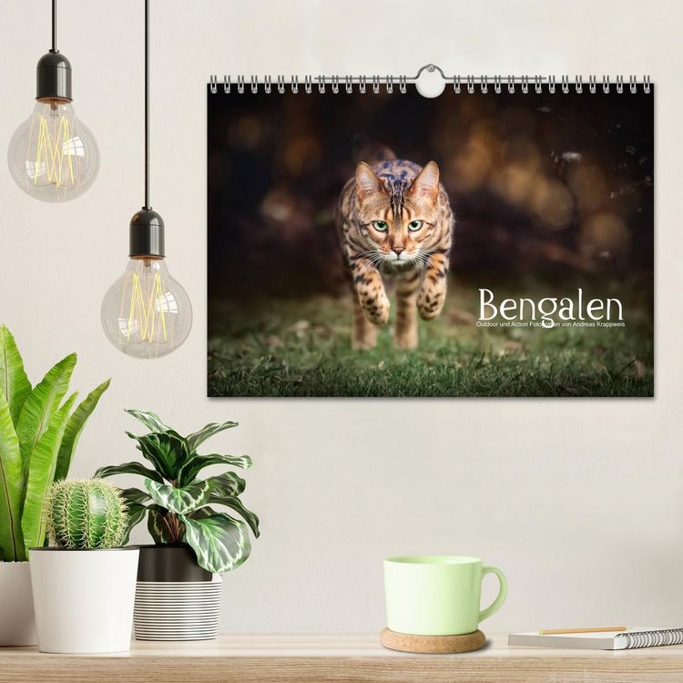 Produktbild: Bengalen Outdoor und Action (Wandkalender 2026 DIN A4 quer), CALVENDO Monatskalender