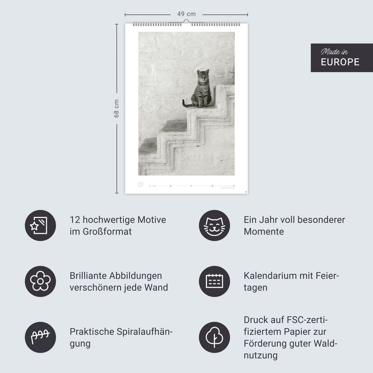 Produktbild: Cats Edition Kalender 2027