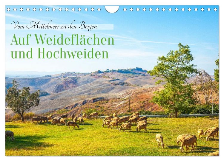 Produktbild: Auf Weidefl&auml;chen und Hochweiden (Wandkalender 2026 DIN A4 quer), CALVENDO Monatskalender