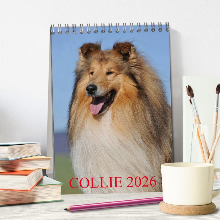 Produktbild: Collie 2026 (Tischkalender 2026 DIN A5 hoch), CALVENDO Monatskalender