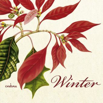 Produktbild: Winter