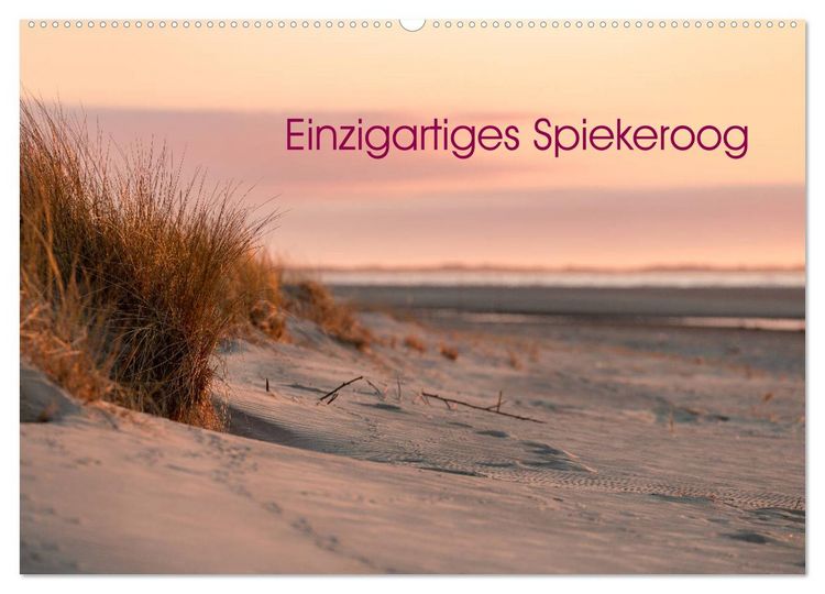 Produktbild: Einzigartiges Spiekeroog (Wandkalender 2026 DIN A2 quer), CALVENDO Monatskalender