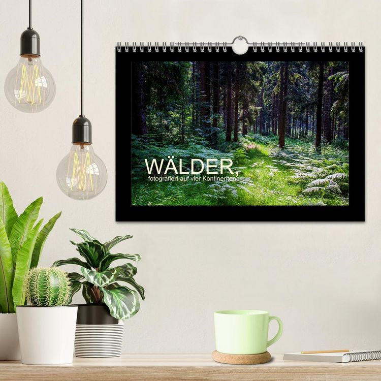 Produktbild: W&auml;lder, fotografiert auf vier Kontinenten (Wandkalender 2026 DIN A4 quer), CALVENDO Monatskalender