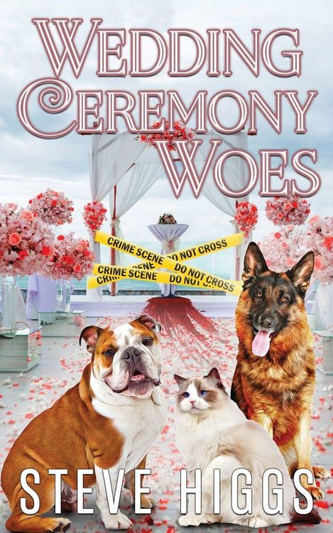 Produktbild: Wedding Ceremony Woes