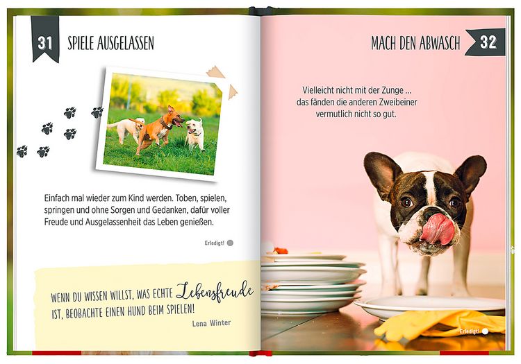 Produktbild: 100 Dinge, die man von einem Hund lernen kann