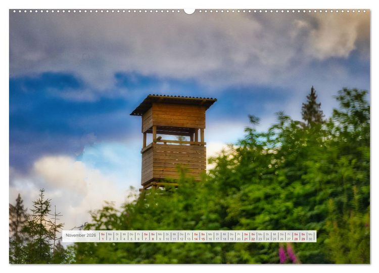 Produktbild: Traumhafte Waldstimmung am Rennsteig im Th&uuml;ringer Wald (hochwertiger Premium Wandkalender 2026 DIN A2 quer), Kunstdruck in Hochglanz