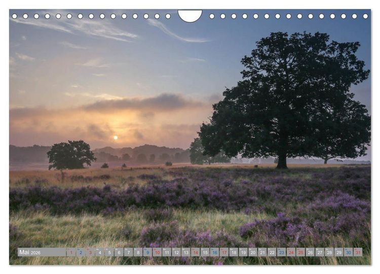 Produktbild: L&uuml;neburger Heide - Faszinierend sch&ouml;n (Wandkalender 2026 DIN A4 quer), CALVENDO Monatskalender